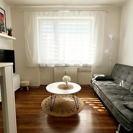 Apartmán Black Lotus 2 I Downtown I Free Parking & Fresh Coffee I 24hr Access *